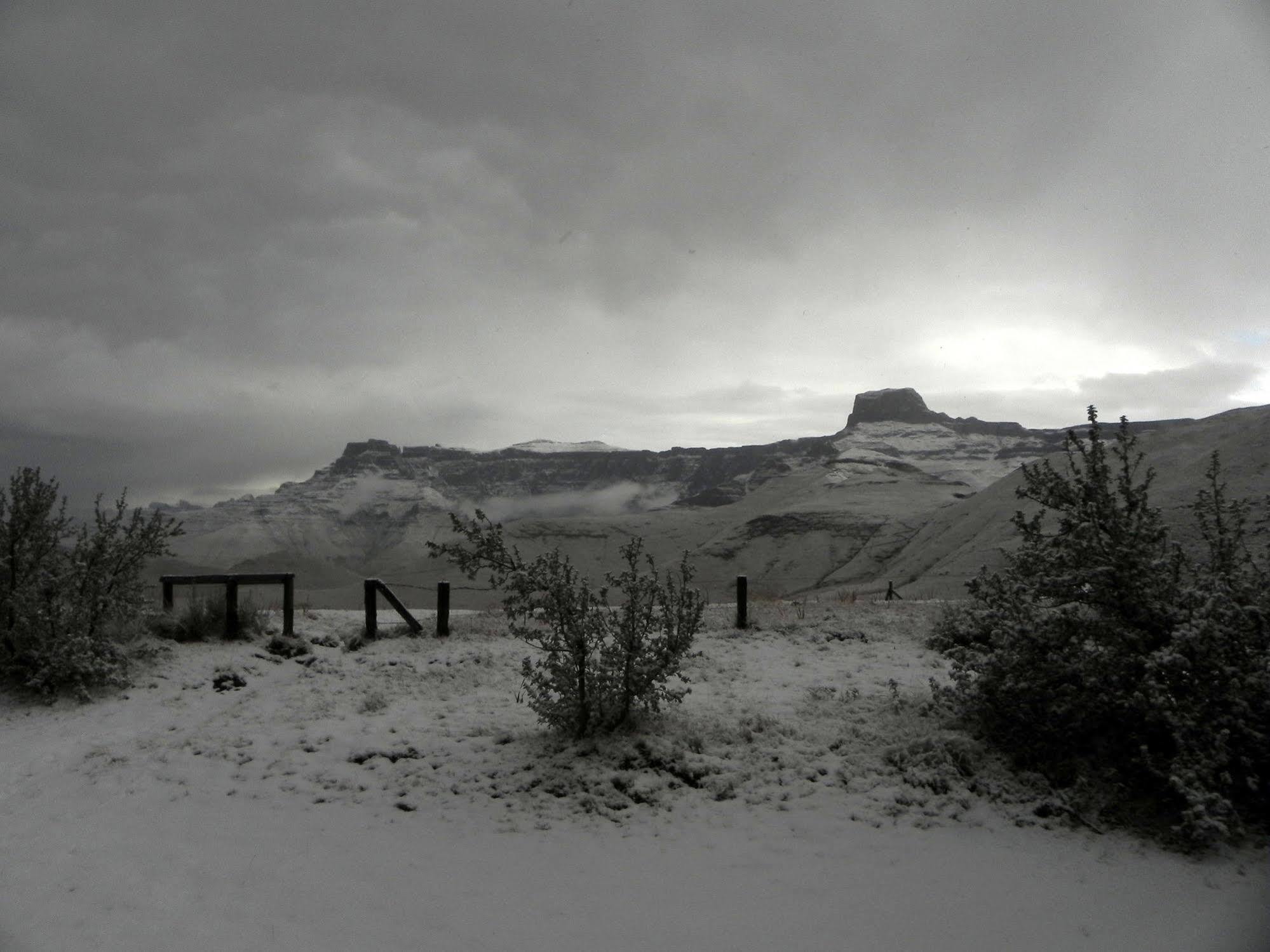 Witsieshoek Mountain Lodge *