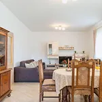 Apartman Tea