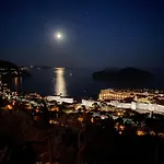 The View