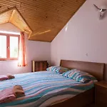 Apartment Summer Dream