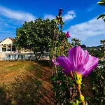 Poolincluded - Villa Sucic