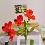 Prijeko Relax Apartment