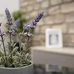 Apartment Stela - Private Terrace & Parking