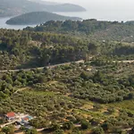 Villa Barbara - Olive Paradise, With Chlorine-Free Pool
