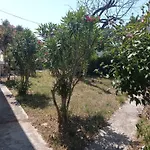 Apartment Mir