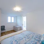 Apartment Pavlina