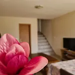 Apartman Senka Rogotin