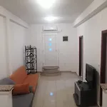 Anita