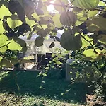 Garden Cozy Apartment