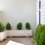 Apartment Gallery - View Of The Old Town & Free Parking