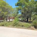 Pine Holliday House