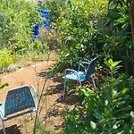 Studio Apartment Garden