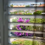 Apartman Ana