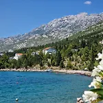 See Paradise