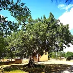 Holiday Home Jaga