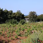Apartment Blaca 4899E