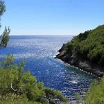 Secluded Fisherman'S Cottage Cove Bratinja Luka, Korcula - 9224