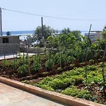 Apartments By The Sea Banj, Pasman - 8242