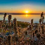 Apartman Amarena
