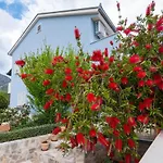 Apartments Ivana