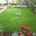 Apartments Mactra