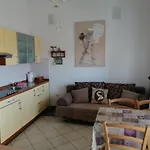 Apartment Punta Skala