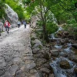 Apartman Maslina