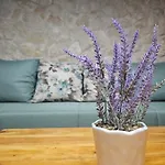 Dalmatia Rustica Comfortable One Bedroom+Fireplace