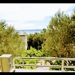 Antea