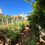 Apartments Joso