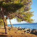 Apartman Rosa