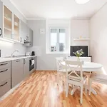 Stray Apartment