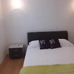 Kiwi Nest