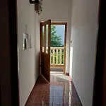 Iva Apartment 50M From See