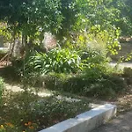 Downtown Garden