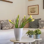 Apartment Ranieri Pile