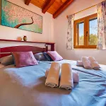 Eco Holiday House Cive