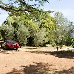 Bungalow Rosemary Park