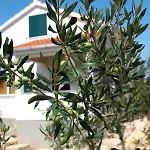 Holiday House Domagoj With A Swimming Pool And A Large Yard
