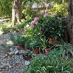 Apartment Pehar