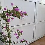 Apartman Dani