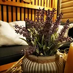 Mobile Home Pine Adria Soline Biograd Na Moru