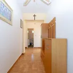Ferienhaus Fuer 12 Personen Ca 510 Qm In Krusevo, Dalmatien Norddalmatien