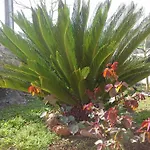 Guest House Danicic