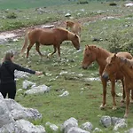 Stone House Varos