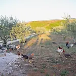 Fairy Of Velebit Unique Countryside House