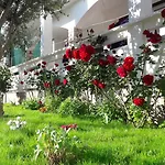 Apartmani Andreja