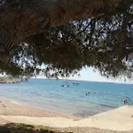 Apartments Matosevic-Pag