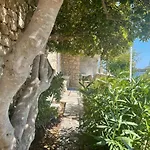 Vila Jana