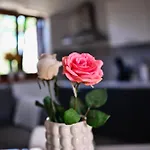 Apartment Barbara